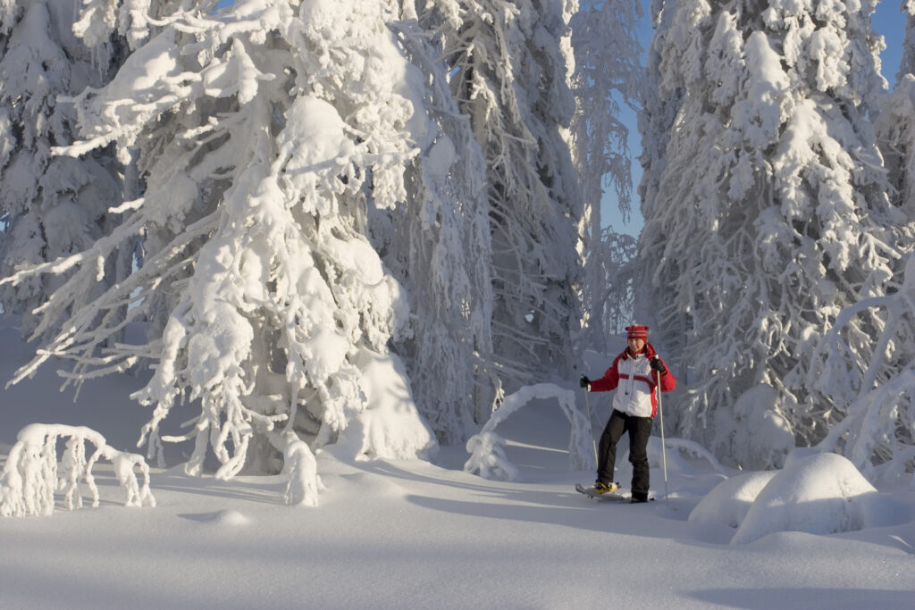snowshoeing