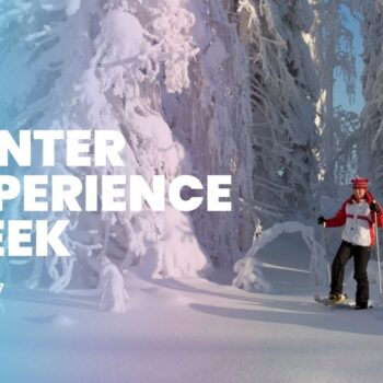 winter experience week hotel kalevala wild taiga