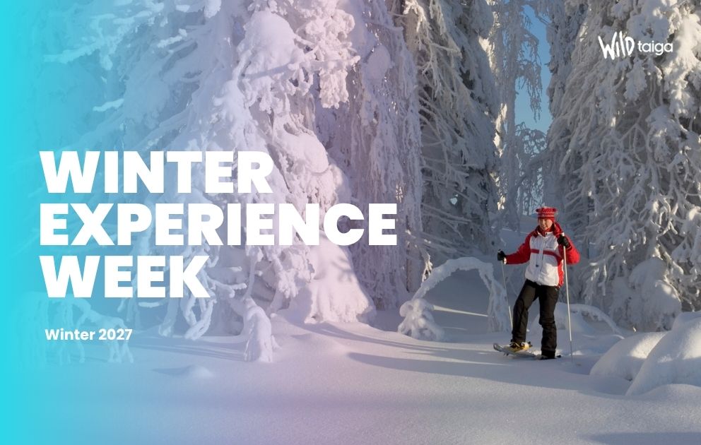 winter experience week hotel kalevala wild taiga