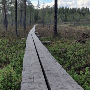 milanu oy hotelli kalevala