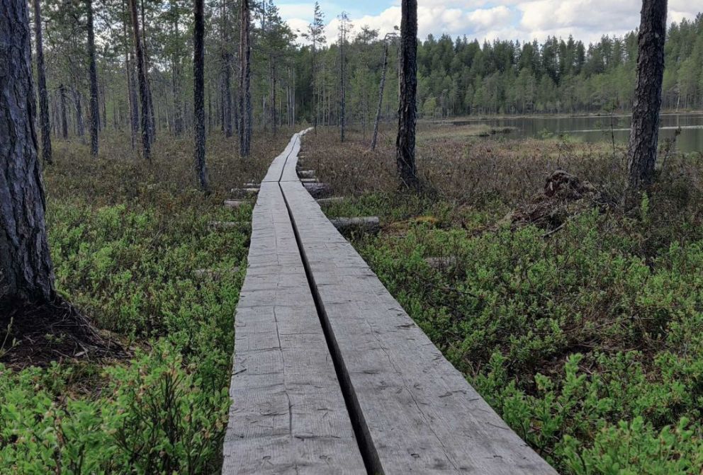 milanu oy hotelli kalevala