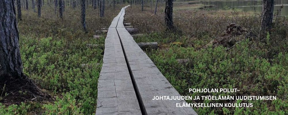 milanu oy kokospaketit hotelli kalevala